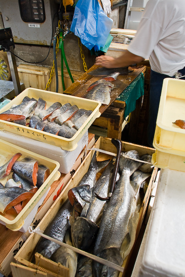 Tsukiji Fish Market-3
